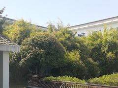 -春兰国宾馆(凤城河风景区老街店)