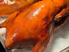 -青岛蓝海御华大饭店（金沙滩店）·蓝钻国际美食自助百汇