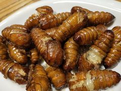-熙成烧烤(白塔岭店)