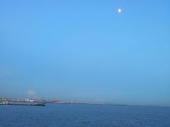 -大湾区中央湿地公园