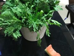 -蜀九香火锅(九眼桥店)