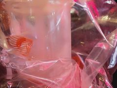 -CoCo都可(骆家庄新店)