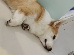 -平行世界·猫咖(首经贸店)