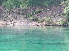 -石台牯牛降景区