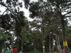 -水煮三国·川鲁江湖菜(香山店)