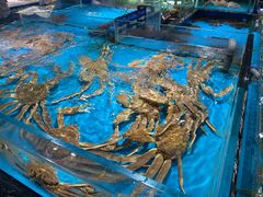 -龙船人海鲜城(长治路店)