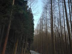 -山王坪喀斯特国家生态公园