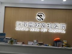 -瑞派雷欧宠物医院·24h夜诊·心脏骨科牙科·全科重症转诊中心(无影山店)