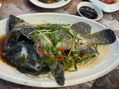 -众味海鲜大排档·活海鲜·潮汕味(南澳店)