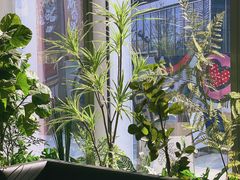 -M Stand(BFC外滩金融中心店)