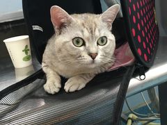 -北京赛佳动物医院