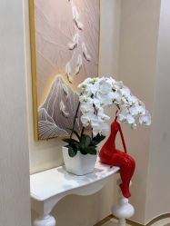 -JUVA欧华医美连锁