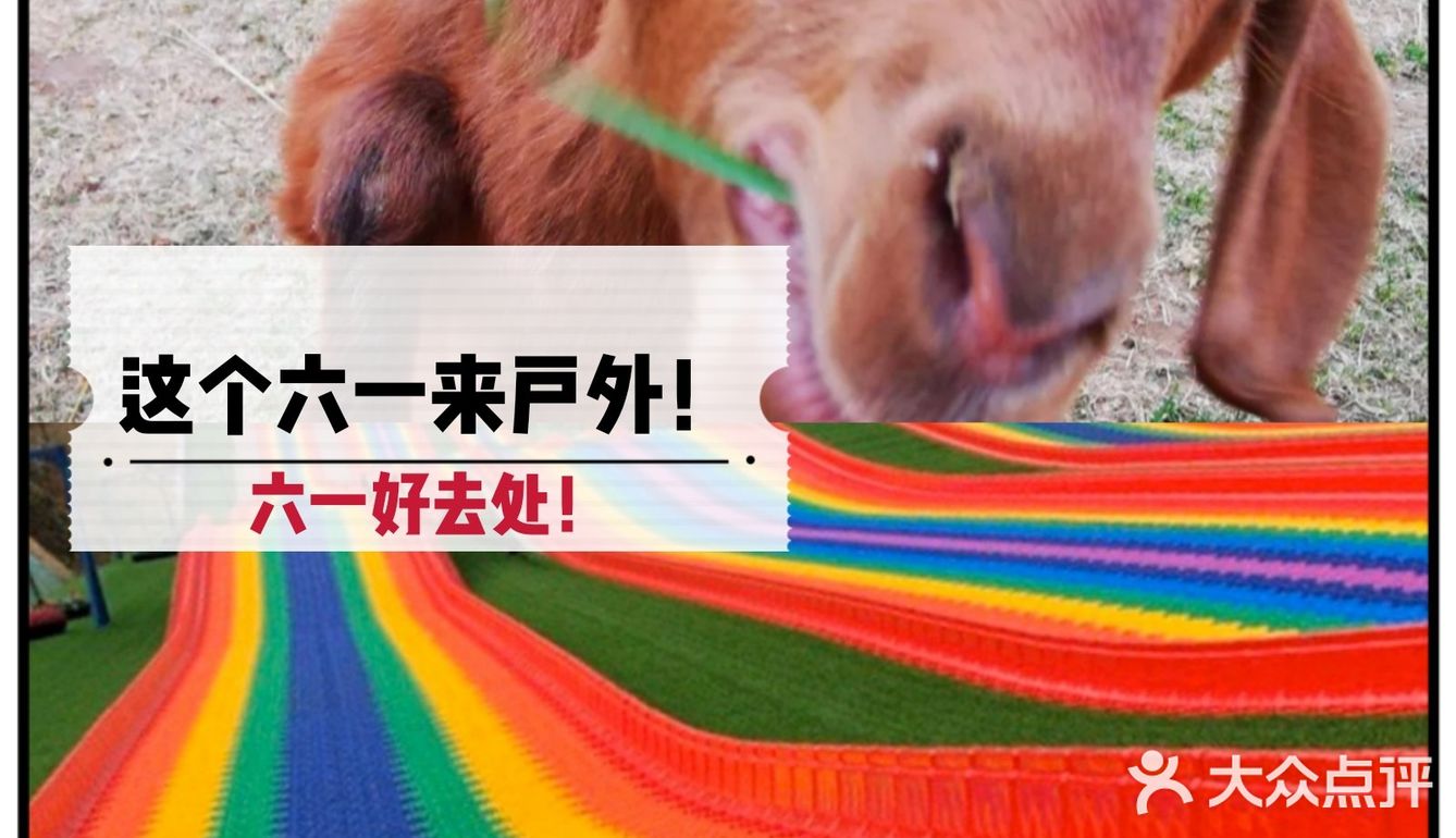 [糖果]嗨翻六一|可以和宝宝户外撒野的好地方降价啦！