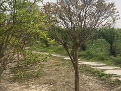 -上海杨姆庄园