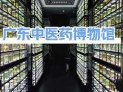 -广东中医药博物馆
