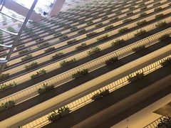 -新加坡泛太平洋酒店