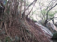 -乌山风景区