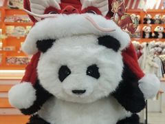 -熊猫邮局(少城店)
