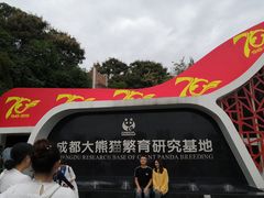 景点-成都大熊猫繁育研究基地