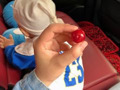 -樱桃山旅游景区