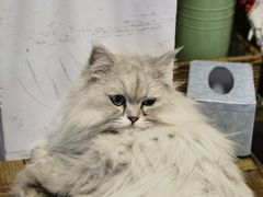 -小时光咖啡馆(北锣鼓巷店)