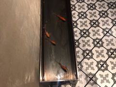 -日上三甘(三里屯店)