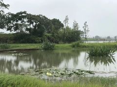 -良渚古城遗址公园