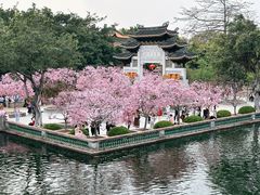 -宝墨园景区