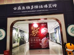 -花之城