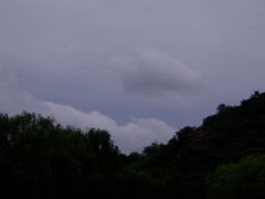 -绍兴镜湖国家城市湿地公园