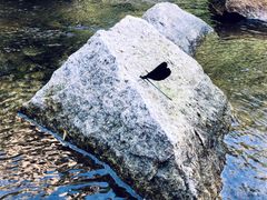 -碓臼峪自然风景区