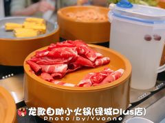 -龍歌自助小火锅(李沧丽达店)