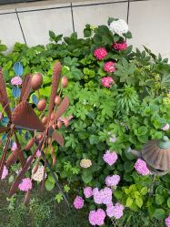 点击看大图 -安琪朵朵独栋花园月子中心
