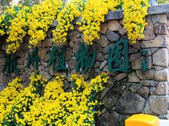 -杭州植物园