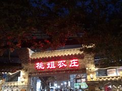 门面-桃姐农庄老字号(从化温泉店)