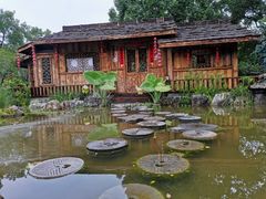 -南山植物园