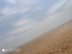 -日照海滨国家森林公园