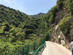 -终南山国家森林公园