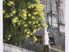-芽庄大教堂