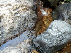 -银瓶嘴森林公园