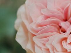 -苏州河梦清园环保主题公园