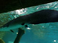 -多彩贵州城极地海洋世界