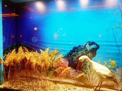 -福成厚江鱼壹号黑金冠好店(群力店)
