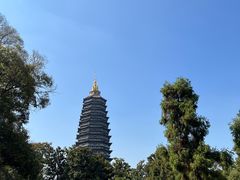 -红梅公园