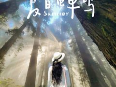 -大连天门山国家森林公园
