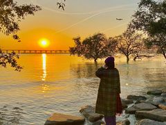 -宝安西湾红树林湿地公园