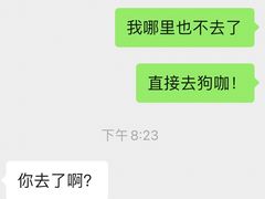 -喜柴咖啡·柴犬狗咖