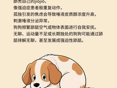-立德24H动物医院·夜诊·转诊中心·1.5T核磁共振(海珠店)