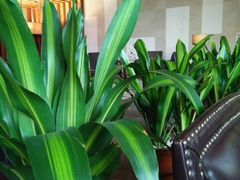 -天津君隆威斯汀酒店