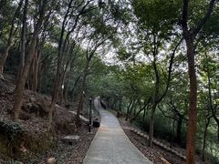 -汤山公园